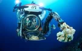 Barry B. Brown Sea Aquarium’s ‘Curasub’ exploring Bonaire’s deep reef