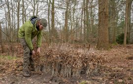 Marjolein Den Hartog - Bosgroepen Plantwerk