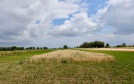 Pieter Verbeek BAM-akker in Well, Gelderland.
