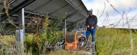 Nature Today | Naturalis Doet Onderzoek Naar Biodiversiteit Zonnepark ...