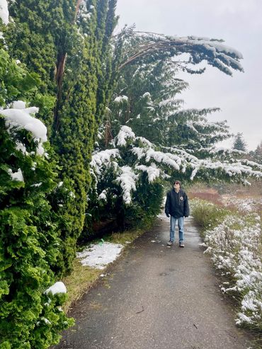 In de Laarmantuin in Hortus Haren staan verschillende taxussen. Op de foto aan de linkerkant een zuilvormige Taxus baccata ‘Fastigiata Aureomarginata’ met uithangende tak door het gewicht van de sneeuw. Eddy staat onder de breed uitgroeiende Taxus baccata ‘Dovastonii Aurea’ iets verder naar achter