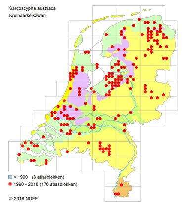 Verspreidingskaartje Krulhaarkelkzwam