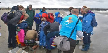 Op Groene stranden zal voorlichting worden gegeven over al wat daar leeft