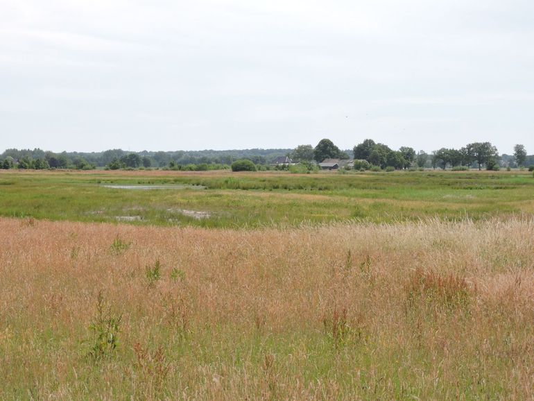 Deelgebied de Zunasche Heide in 2022