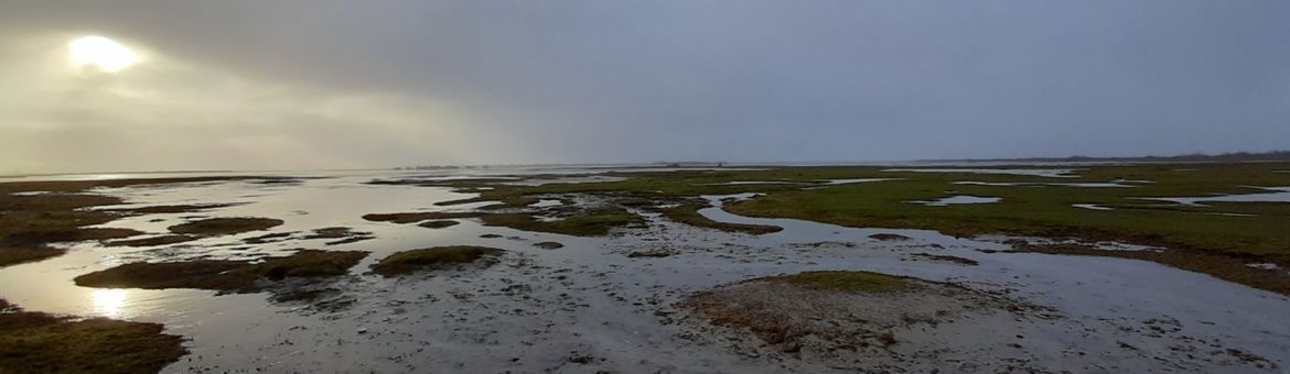 Het Lauwersmeergebied