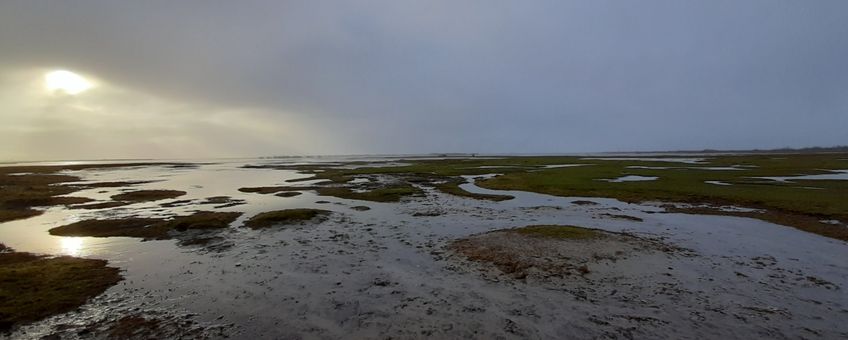 Het Lauwersmeergebied