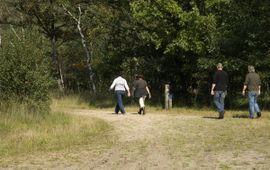 NL, Noord-Brabant, Bladel, Neterselsche Heide 11