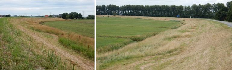 Sinusbeheer op de Assendelverzeedijk