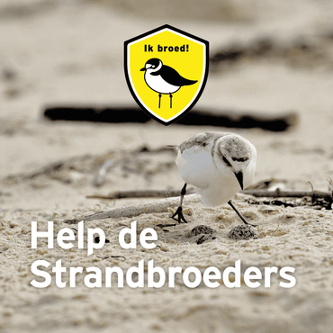 Help de strandbroeders