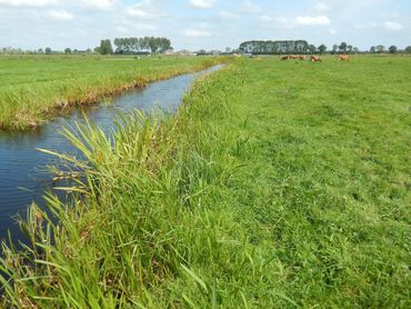 Plaatselijk wordt er wel gemonitord in het boerenland