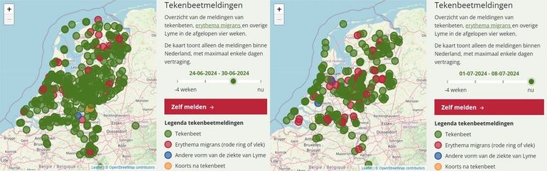 Meldingen van tekenbeten, erythema migrans (rode ring of vlek), andere vorm van de ziekte van Lyme en koorts na een tekenbeet tussen 24 en 30 juni (links) en tussen 1 en 8 juli (rechts)