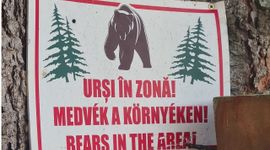 Bear sign