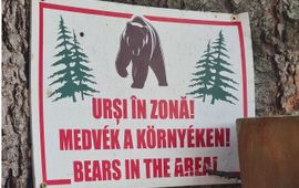 Bear sign