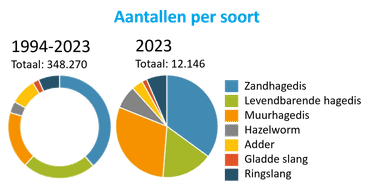 Gezien in het meetnet reptielen