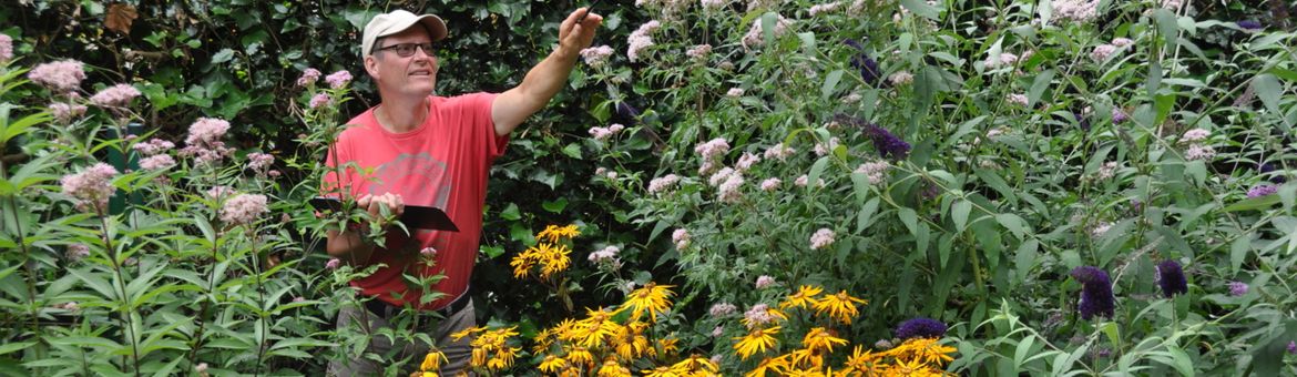 Tuinvlindertelling - primair