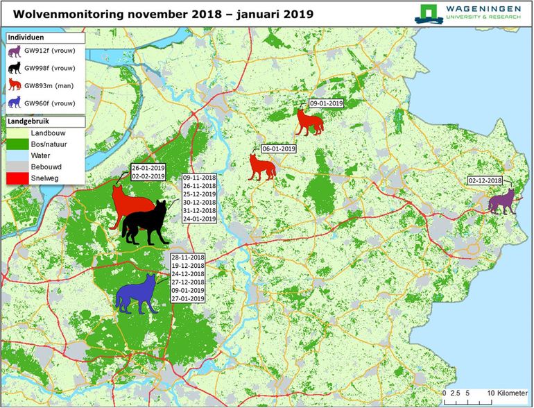 Overzichtskaart van aanwezigheid wolven in de periode van november 2018 tot en met januari 2019