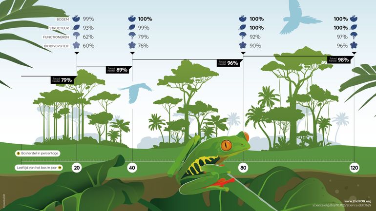 regrowing tropical forests recover surprisingly fast on abandoned land