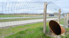 Ottervoorziening langs provinciale weg