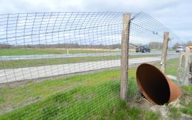 Ottervoorziening langs provinciale weg