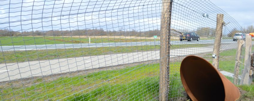 Ottervoorziening langs provinciale weg