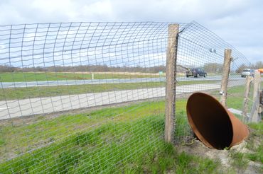 Ottervoorziening langs provinciale weg