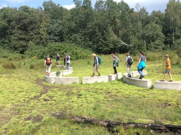 Tijdens de libellenexcursies wordt met name ingezoomd op de herkenning en de belangrijke verschilkenmerken tussen soorten