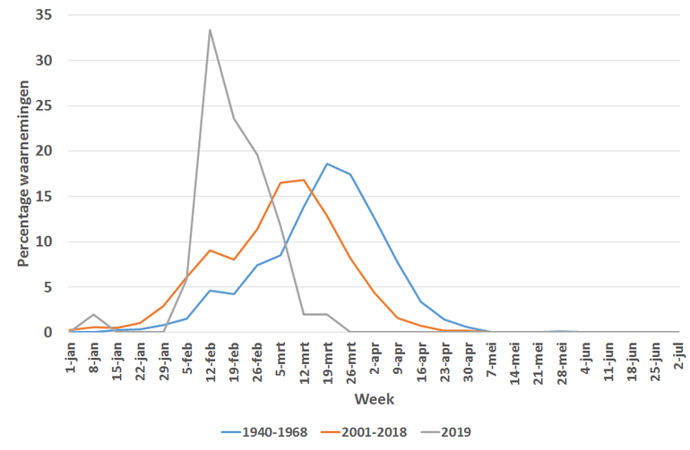 Percentage van alle waarnemingen van eerste bloeiende klein hoefblad die per week zijn gedaan voor de jaren 1940-1968 (blauw), 2001-2018 (oranje) en voor 2019 (grijs)