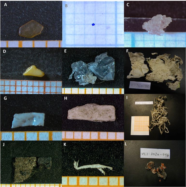 Overzicht van alle stukken zwerfvuil die in de uitwerpselen van IJslandse poolvossen teruggevonden zijn. Zwerfvuil werd gevonden in de jaren 1999 (a-d), in 2017 (e & f), in 2018 (g) en in 2020 (h-l)