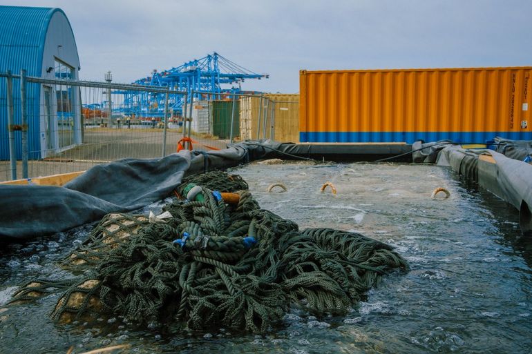 Remote setting-opzet in de haven van Rotterdam