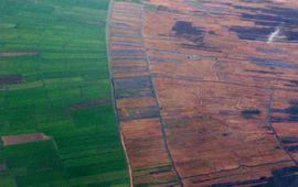 Debot Luchtfoto laagveenmoeras Weerribben
Foto: Debot, GFD-Licentie