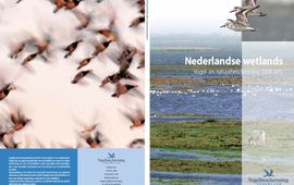 Vogelbescherming cover rapport