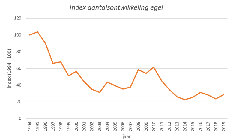 Index aantalsontwikkeling van de egel in Nederland in de periode 1994-2019