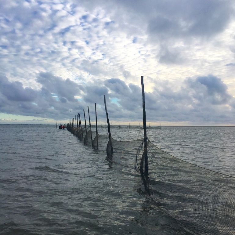 Swimway Waddenzee