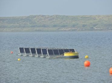 Tweezijdige zonnepanelen op het water