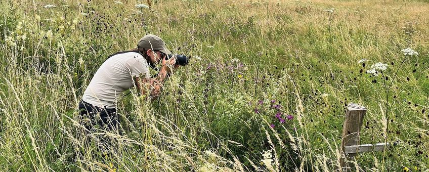 Annika in het veld - primair