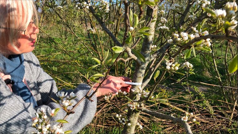 Meten in het veld