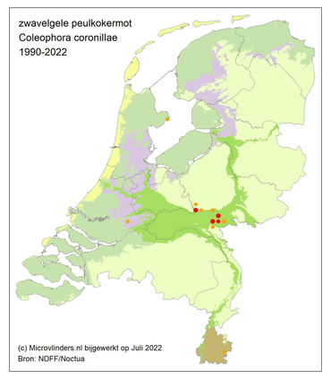 De verspreiding van de zwavelgele peulkokermot tot 21 juli 2022