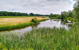 Provincie Utrecht Elster Buitenwaarden