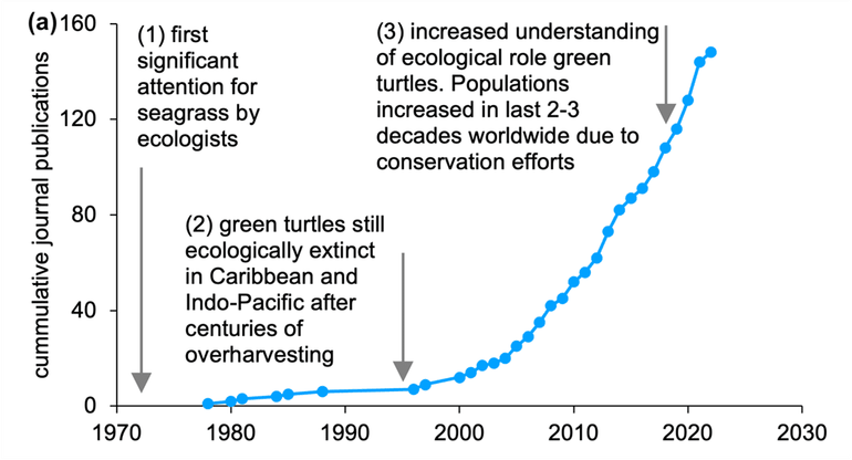 The number of publications on seagrass and green turtle grazing in peer-reviewed journals is accelerating over time (Web of Science, Scopus, Google Scholar 1960-2022, SI text 1), mirroring the recovery of green turtle populations