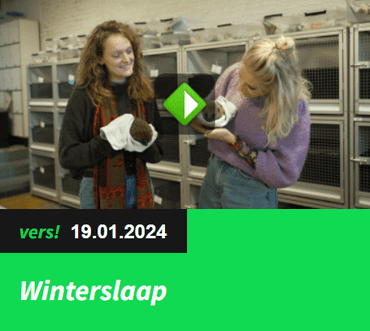 Julia Schepers geeft uitleg over verschillende (zoog)dieren en winterslaap. Bekijk hier de hele aflevering