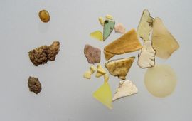 Jan van Franeker, IMARES Voorbeeld van door een Noordse Stormvogel opgegeten plastic. Maaginhoud van vogel nr FAE-2011-x29, met linksboven een enkele industriële korrel (diameter 4 a 5 mm)