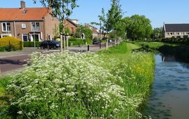 Kars Veling groen Culemborg