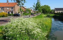 groen Culemborg