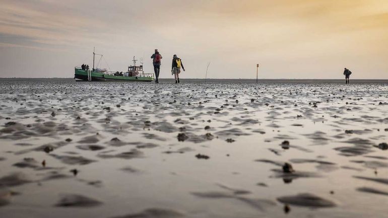 Terug naar de boot en dan wachten tot het water voldoende is gestegen voor vertrek