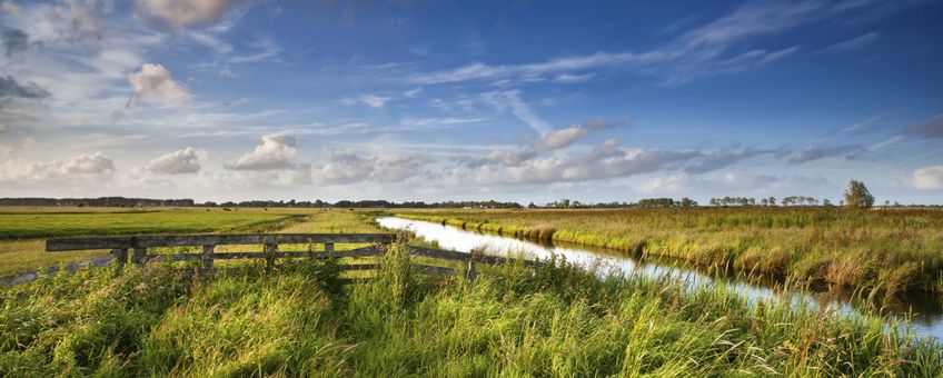 Nederlands landschap