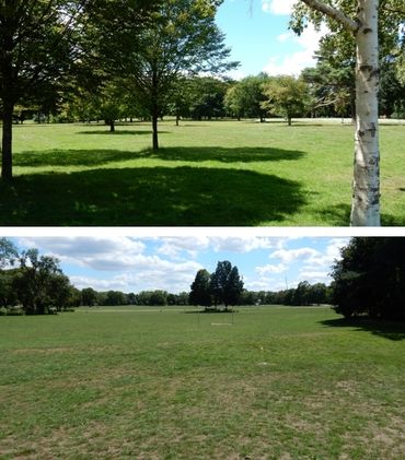 In de meer traditioneel beheerde parkdelen waren de graslandvlinders, zoals te verwachten is, veel minder aanwezig