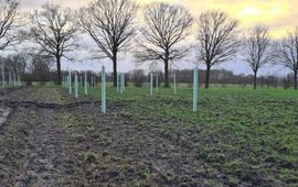 Joke Pingen Compensatiepool Barneveld