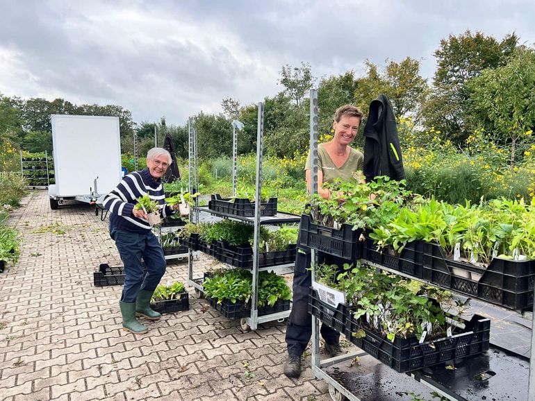 De pakketten met waardplanten worden klaargezet om te worden opgehaald