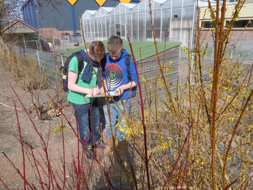 Leerlingen van het Clusius College doen Natuurkalender waarnemingen