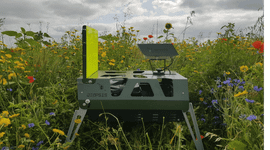 DIOPSIS camera in bloemenveld